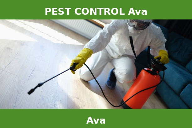 PEST CONTROL Ava